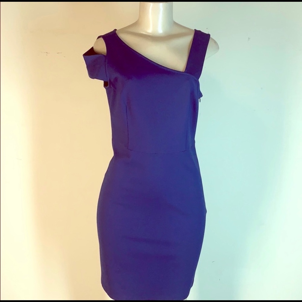 Anna Cate Reagan Dress Blue Small